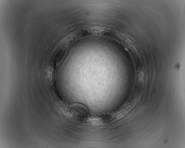 X0000101210283200806271422