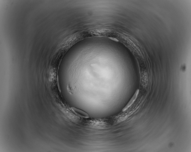 X0000101210284200806271422