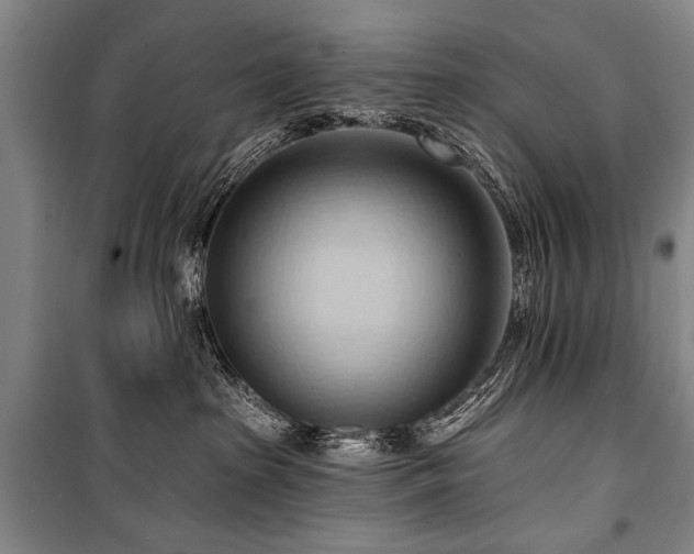 X0000101210285200806271422