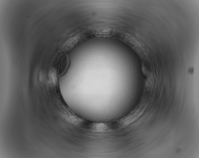 X0000101210287200806271422