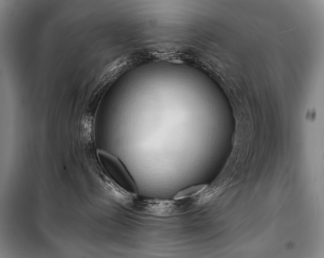 X0000101210288200806271422