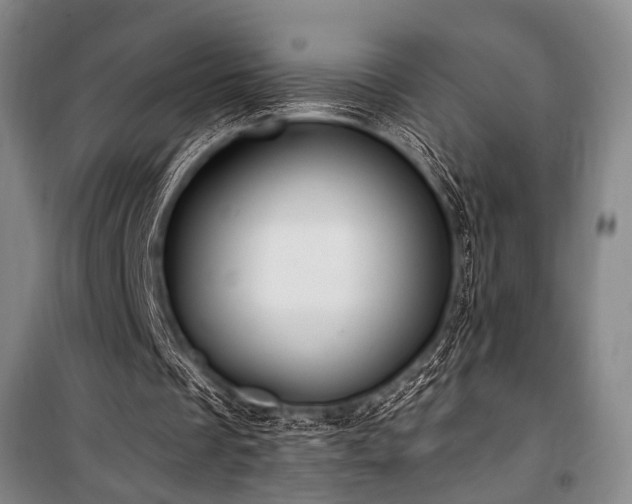 X0000101210289200806271422