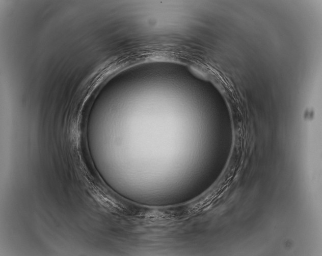 X0000101210290200806271421