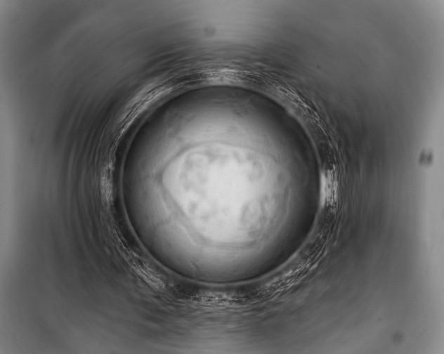 X0000101210291200806271421