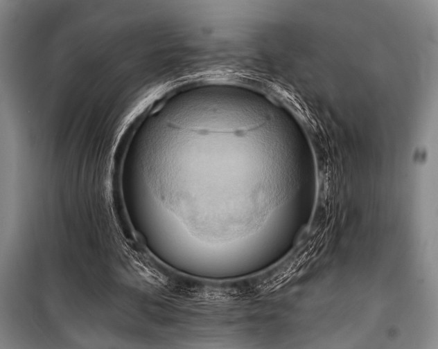 X0000101210292200806271421