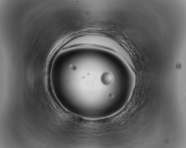 X0000101210293200806271421