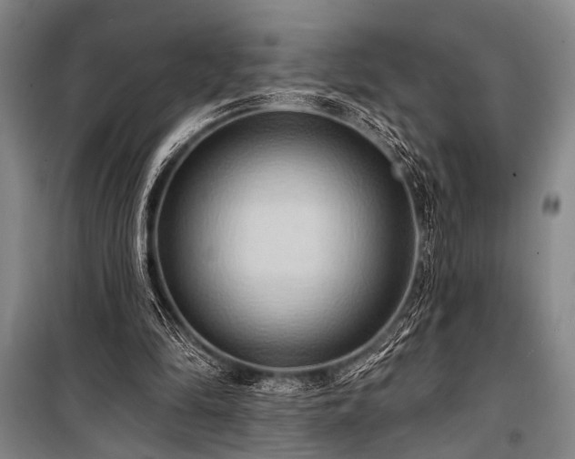 X0000101210294200806271421