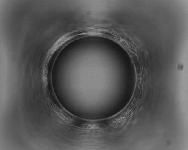 X0000101210295200806271421