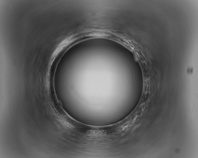 X0000101210296200806271421