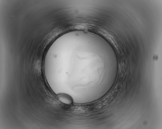 X0000101210297200806271421