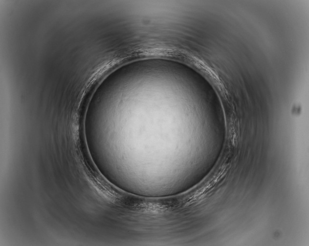 X0000101210298200806271421