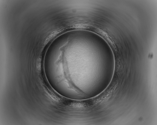 X0000101210299200806271421