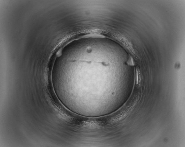 X0000101210300200806271421