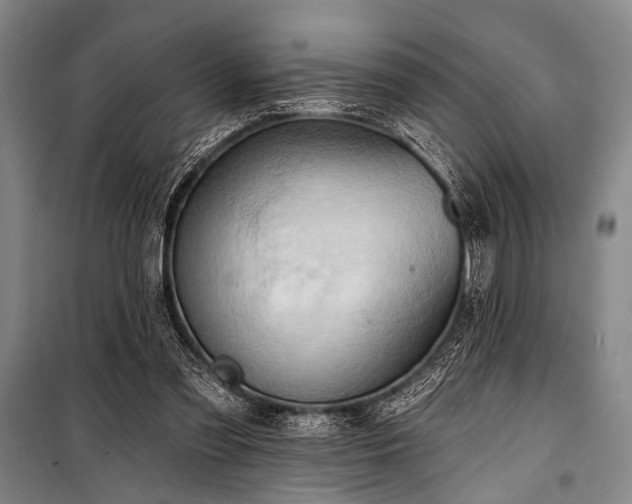 X0000101210301200806271421