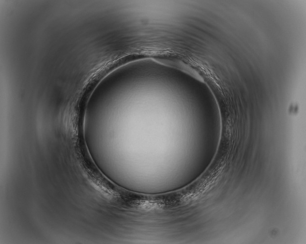 X0000101210303200806271421