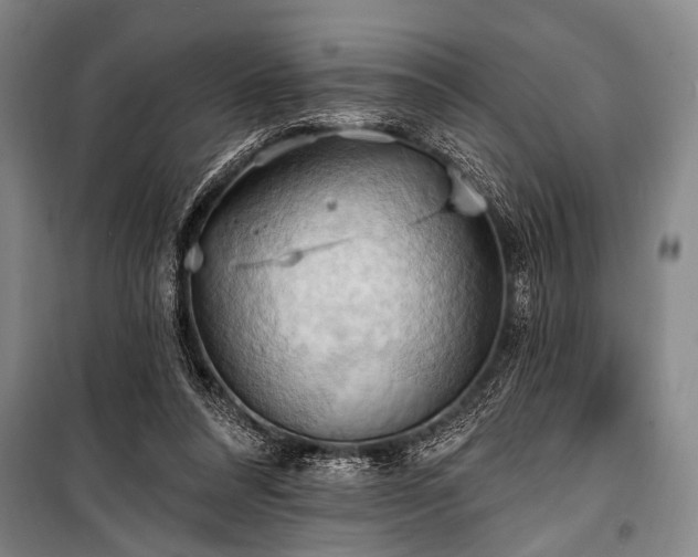 X0000101210304200806271421