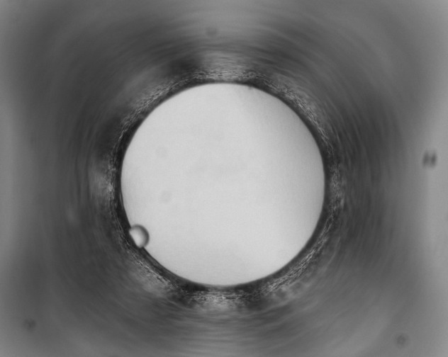 X0000101210305200806271421