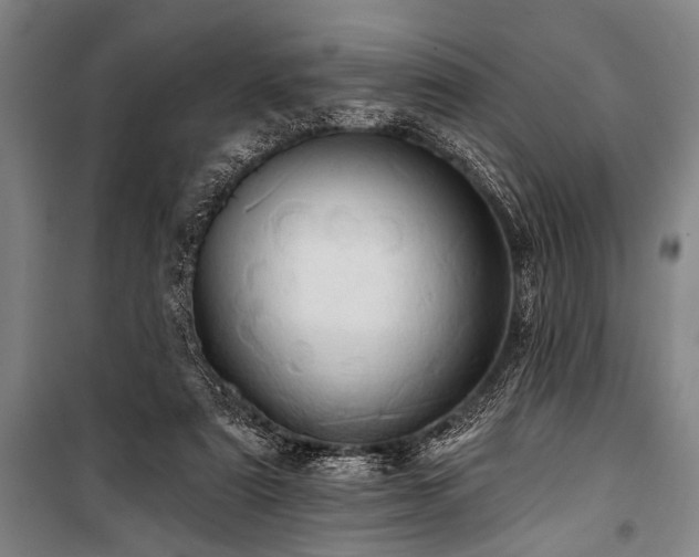 X0000101210307200806271421