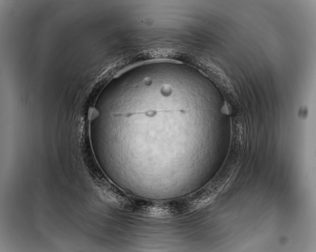 X0000101210308200806271421