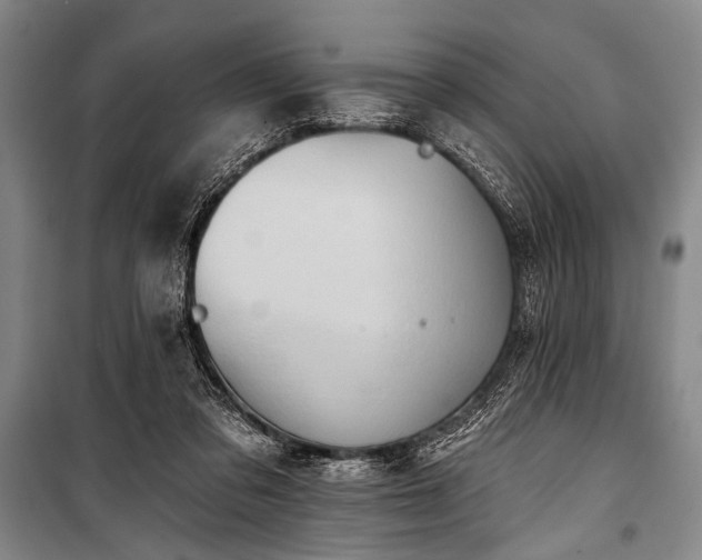 X0000101210309200806271421