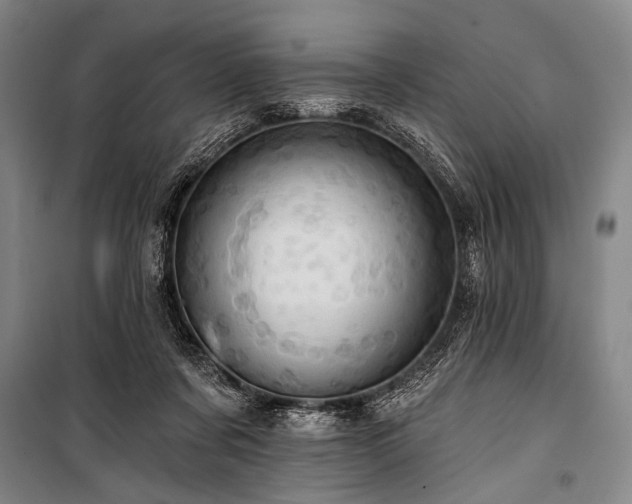 X0000101210311200806271421