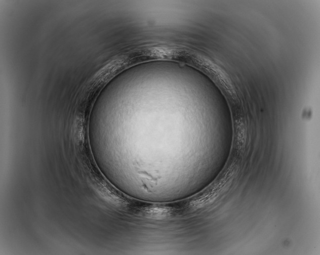 X0000101210313200806271421