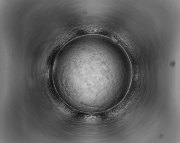 X0000101210315200806271421