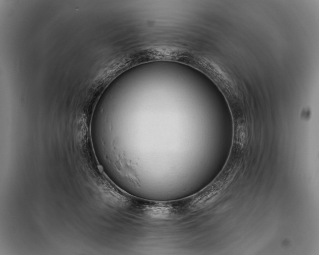 X0000101210318200806271421