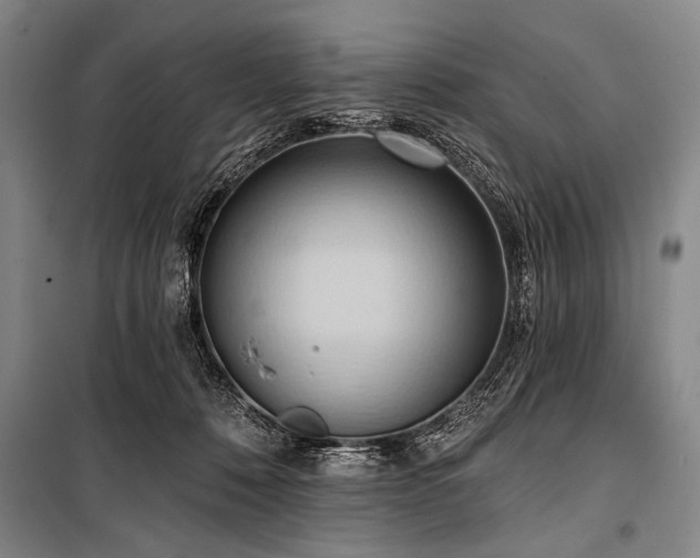 X0000101210320200806271421