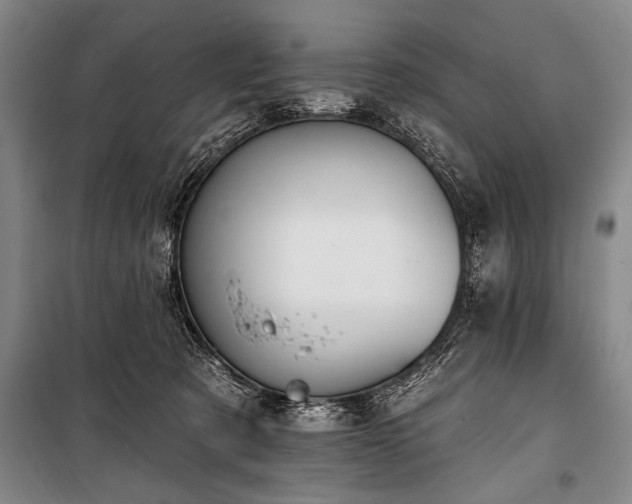 X0000101210321200806271421