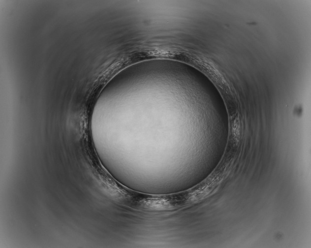 X0000101210322200806271421