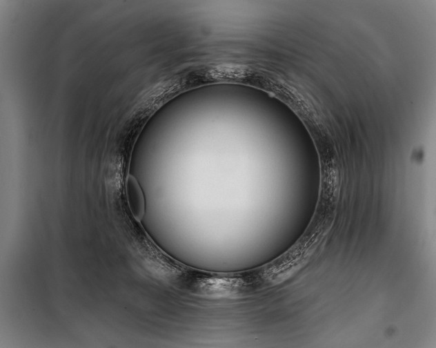 X0000101210323200806271421