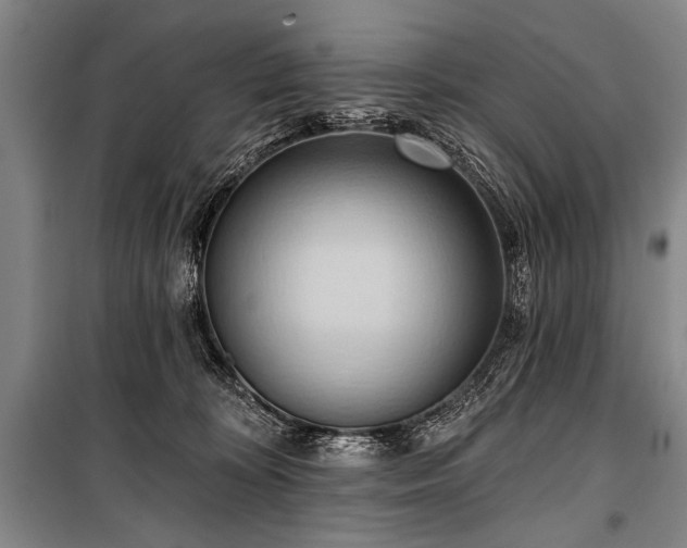 X0000101210324200806271421