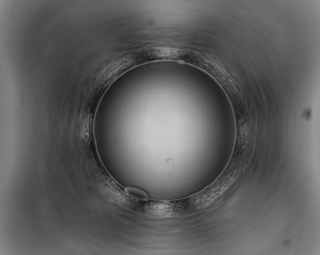 X0000101210325200806271421