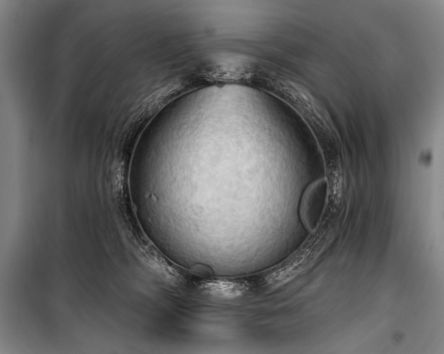 X0000101210326200806271421