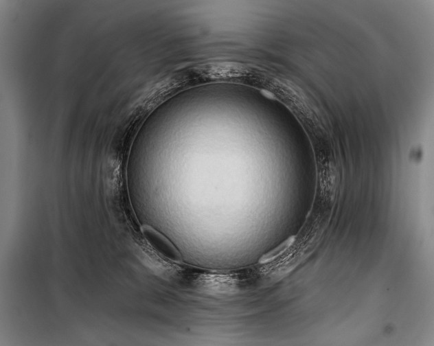 X0000101210327200806271421