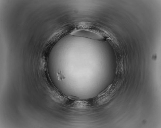 X0000101210328200806271421