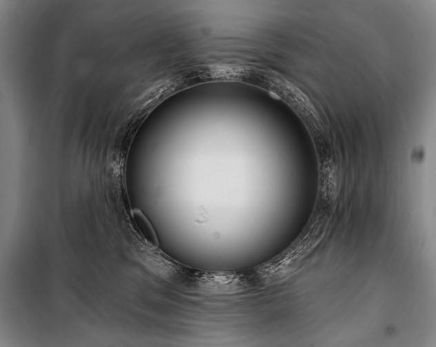 X0000101210329200806271421