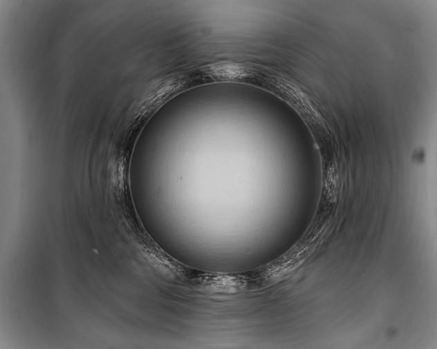 X0000101210330200806271421