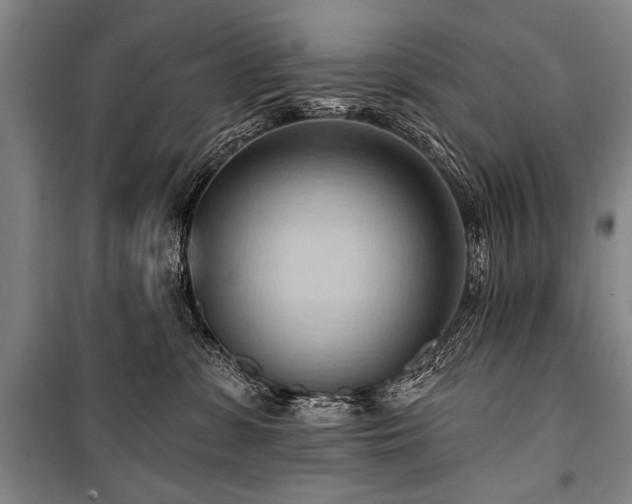 X0000101210331200806271421