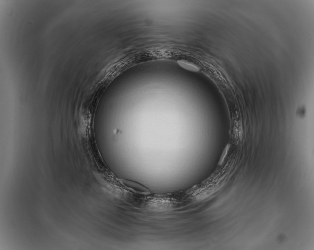 X0000101210332200806271421