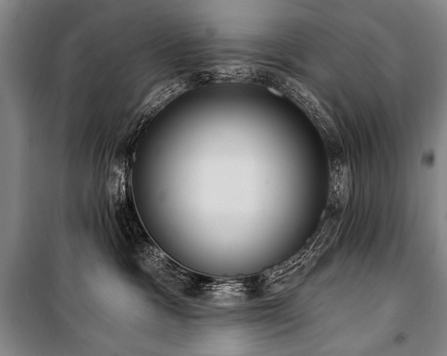 X0000101210333200806271421