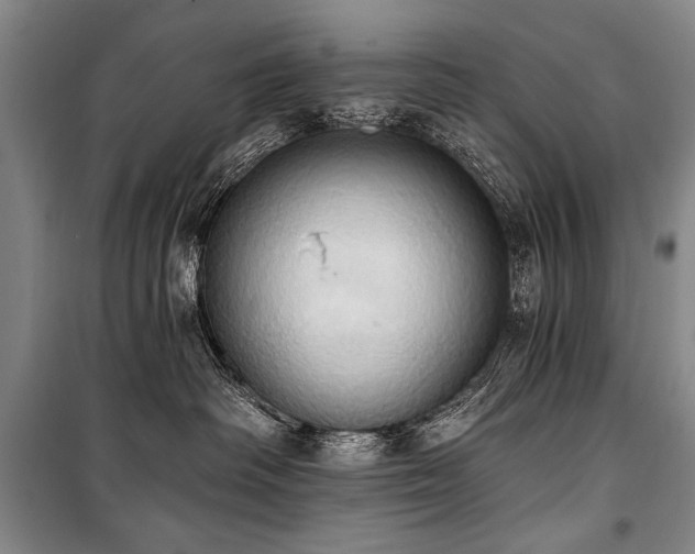 X0000101210334200806271421