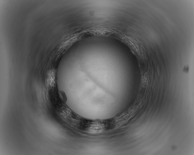 X0000101210335200806271421