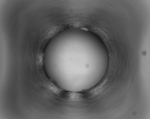 X0000101210336200806271421