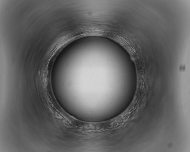 X0000101210338200806271420