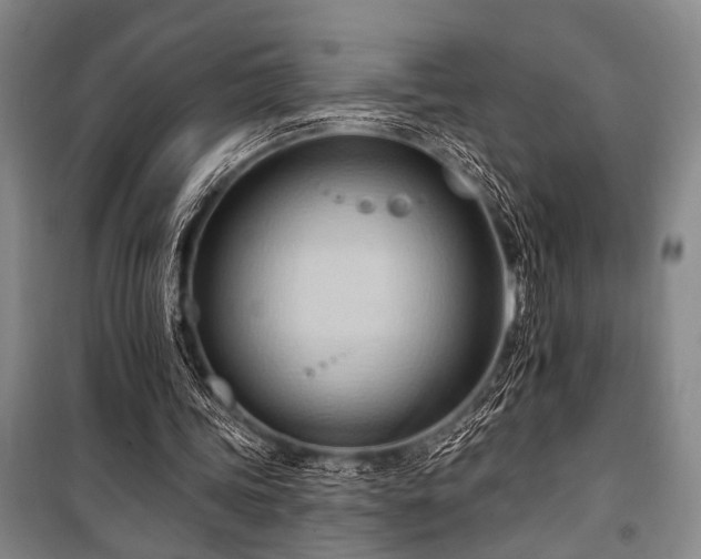 X0000101210339200806271420