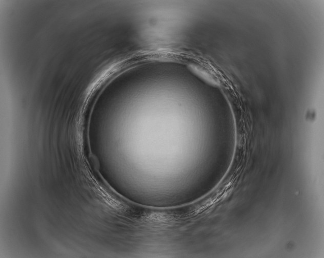 X0000101210341200806271420