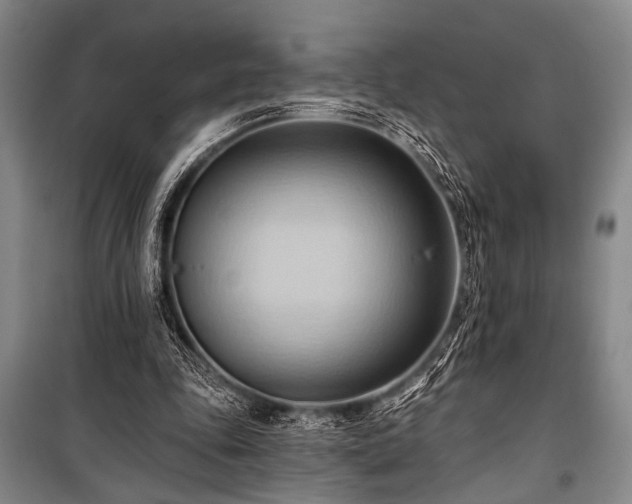 X0000101210343200806271420