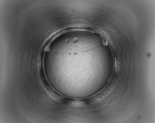 X0000101210348200806271420